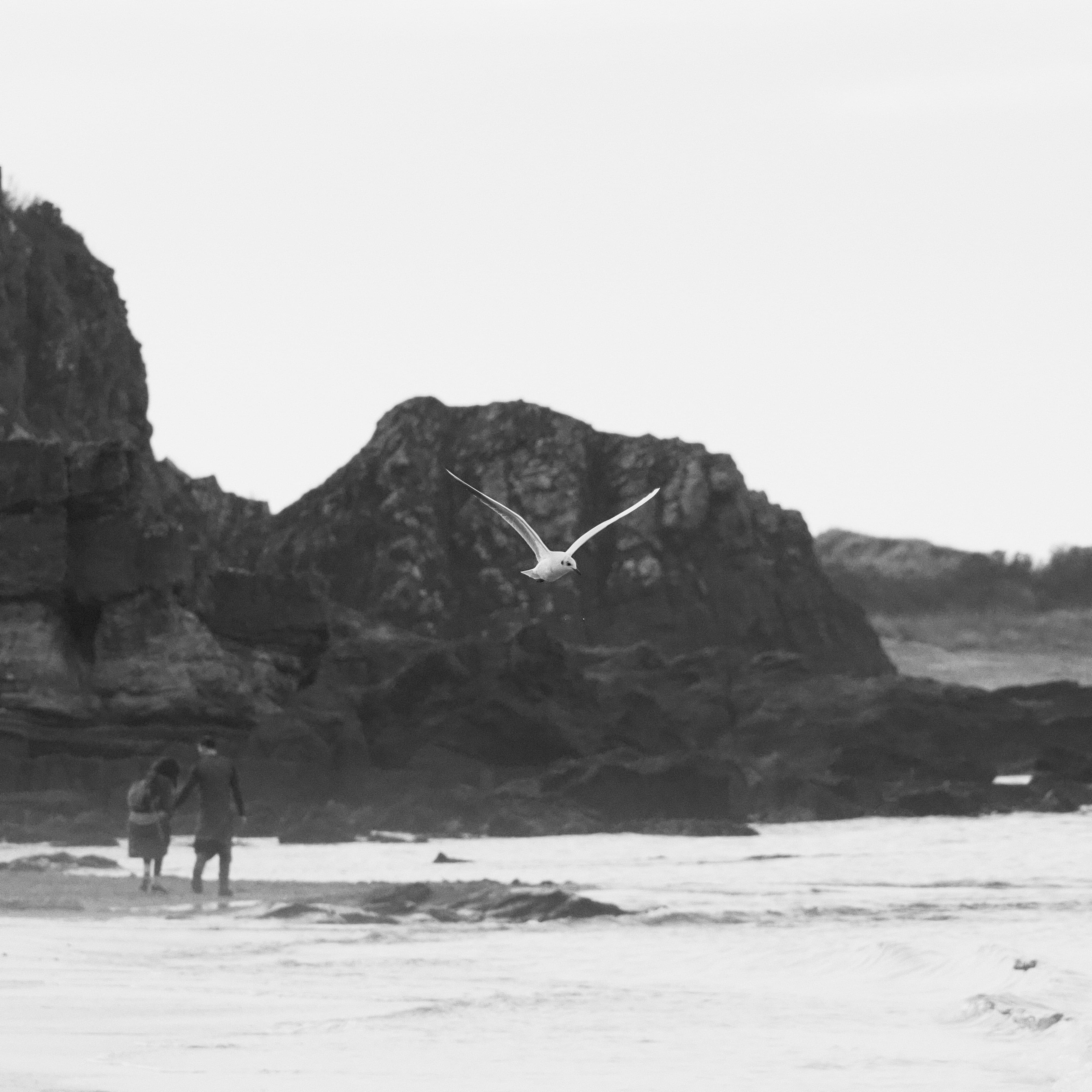 Image of beach scene