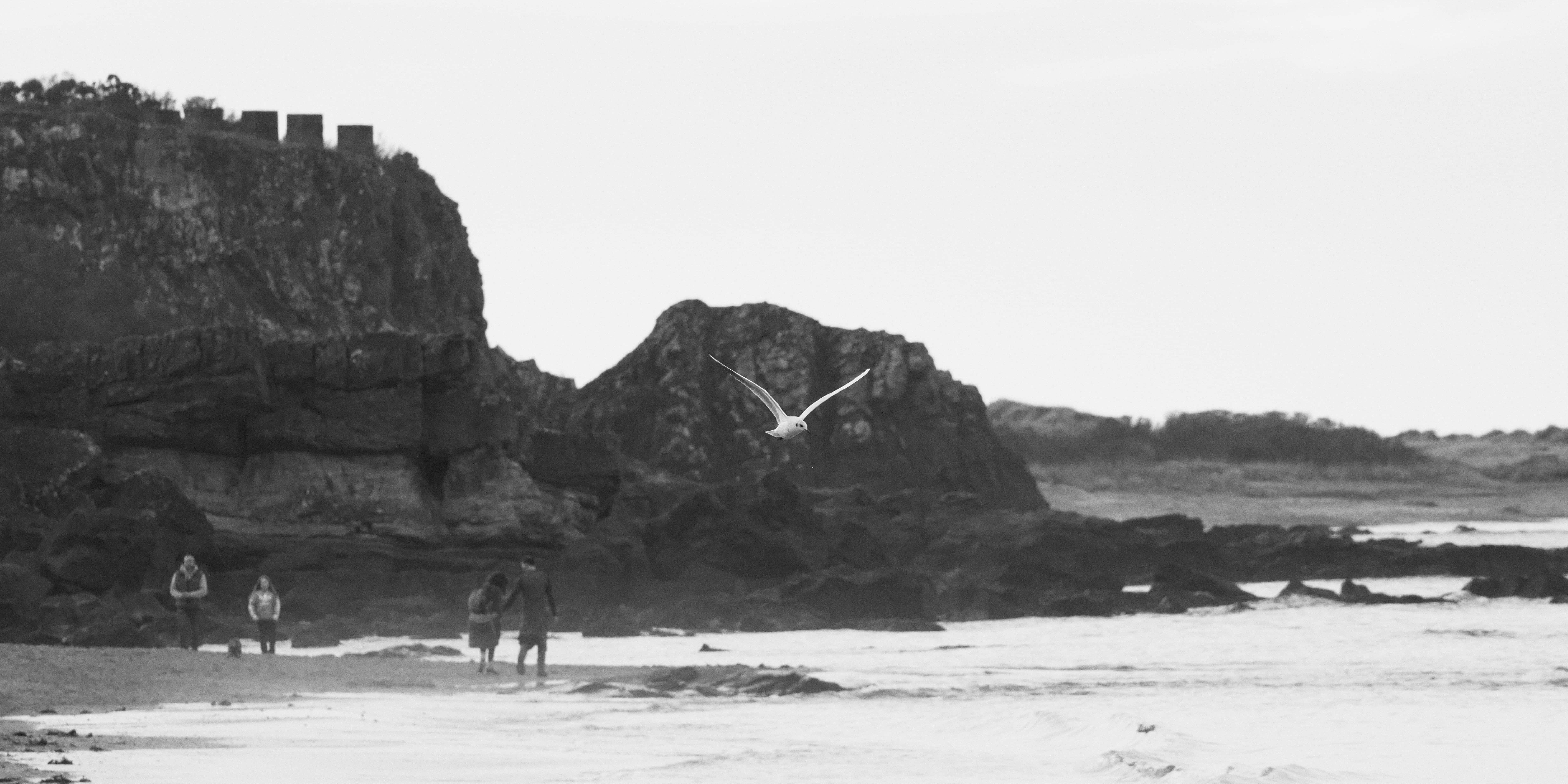 Image of beach scene
